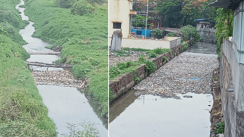 dombivli obstruction garbage drains water channels sewers drains