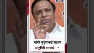 Ashish Shelar on Criticism Nana Patole Statement