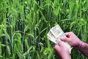 central government increase kharif crops guarantee price