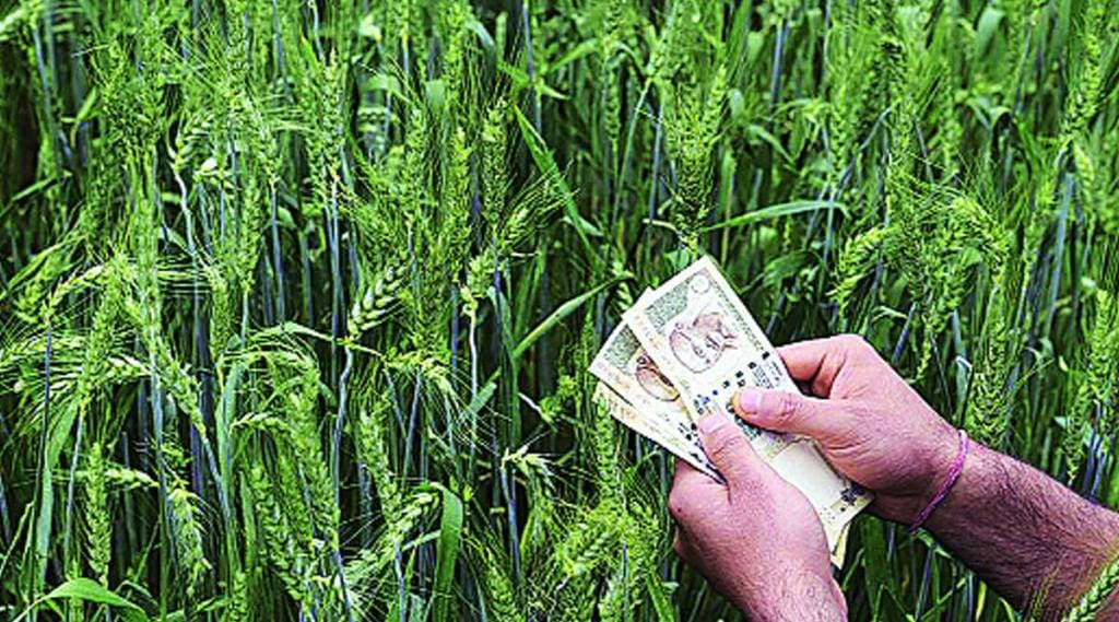 central government increase kharif crops guarantee price