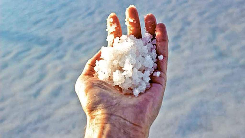 salty ocean in konkan