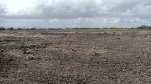 Farmers turn barren land to organic farm