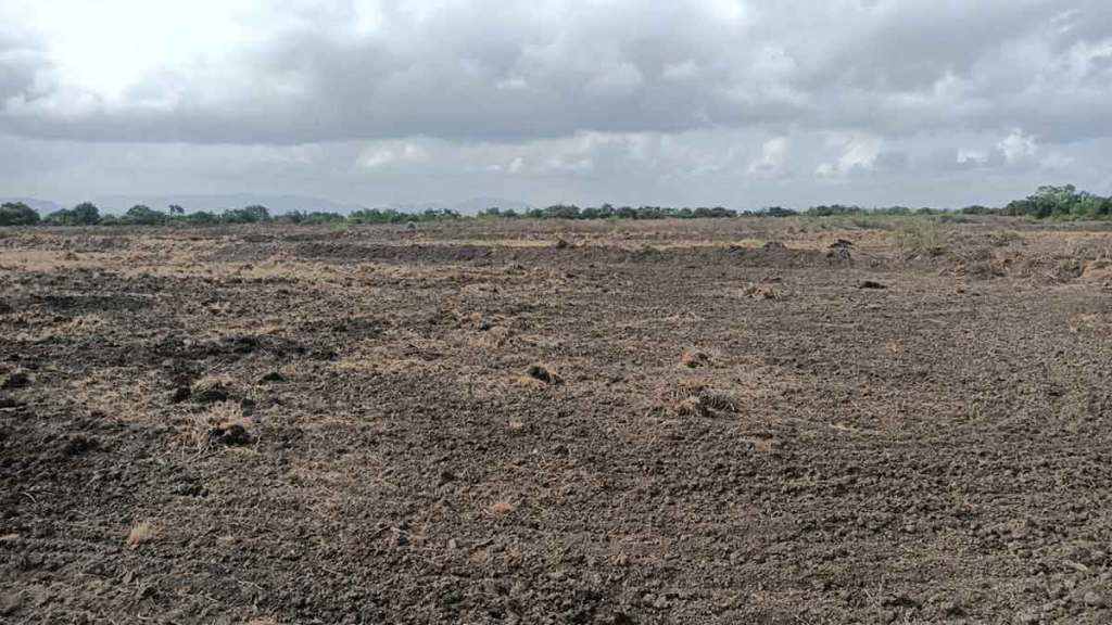 Farmers turn barren land to organic farm