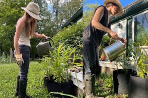 The Naked Gardener a woman gardening being topless told reason people said it's Publicity stunt