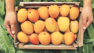 India mango exports to USA
