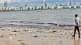 ,world environment day 2023