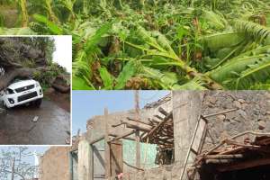 2 kiled in accidents due to storm in Nandurbar