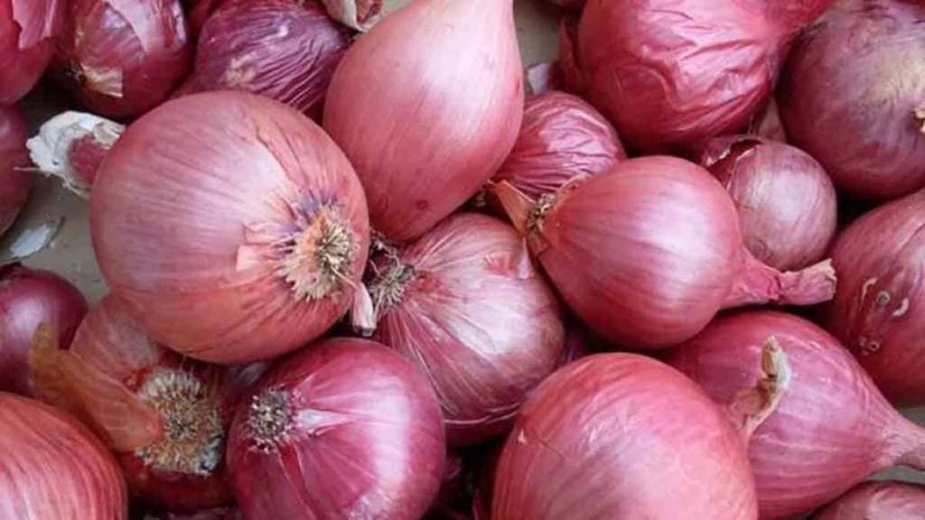 onion procurement by nafed