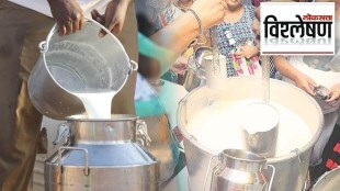 operation_white_flood_Loksatta