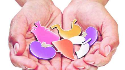 brain dead three year old childs organ donation gives life to four