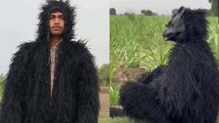 Uttar Pradesh Farmers in Lakhimpur Kheris use a bear costume to prevent monkeys from damaging their sugarcane crop
