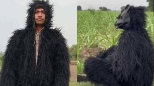 Uttar Pradesh Farmers in Lakhimpur Kheris use a bear costume to prevent monkeys from damaging their sugarcane crop