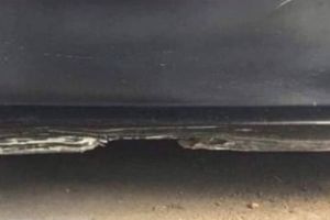 optical illusion of beach or something else photo goes viral
