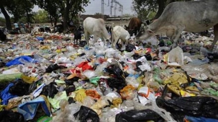 akola environment danger incineration plastic