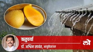 health special eat mango raining