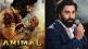 bollywood actor Ranbir Kapoor Animal movie pre teaser