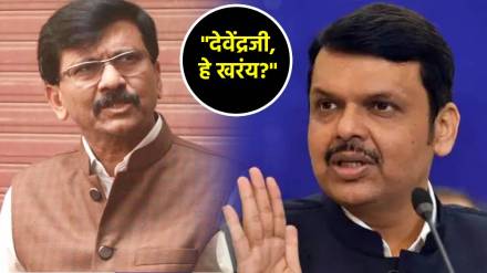 sanjay raut devendra fadnavis (6)