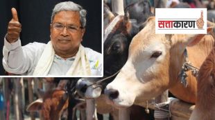 siddaramaiah on cow slaughter act