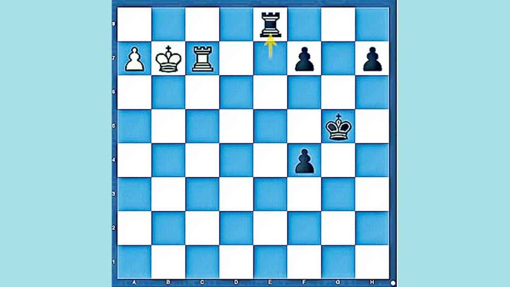 chess story of magnus carlsen