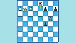 chess story of magnus carlsen