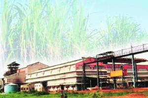 Sugar mills FRP dues
