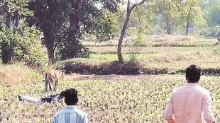 Chandrapur, money, sanctioned, villages near forest;, Former Minister , Shobha Fadnavis
