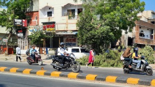 pedestrians facing problems branches cut trees are still road nagpur