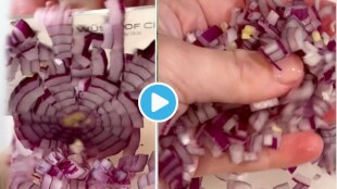 Video 30 seconds Kitchen Jugaad to Cut Onions Without Crying And Hurting Eyes These Viral Hack Is Life Saving Watch