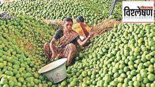 Citrus Project in Vidarbha