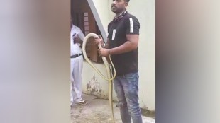 Eight foot snake in Nagpur Regional Psychiatric Hospital