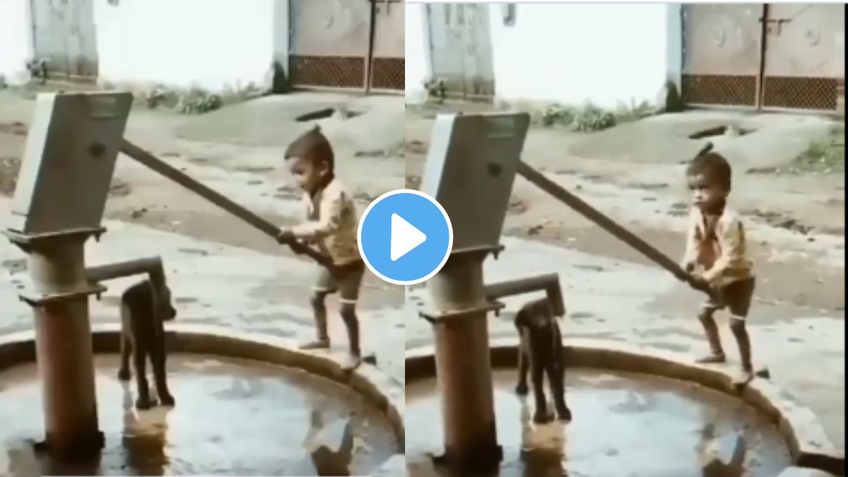 child giving water to a dog has gone viral