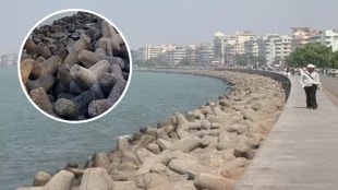 Why are there Stones at the Mumbai Marine Drive