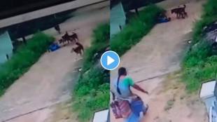 A pack of stray dogs chase and attack a boy in Sangareddy town, Telangana, and was caught on camera video viral on social media