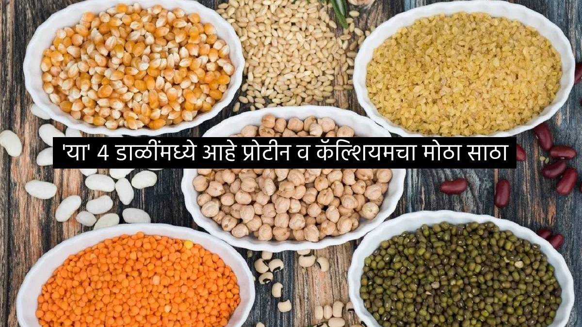 Protein Calcium Sources For Vegetarians These Pulses Lentils are Best For Health Perfect To Cook Dal for Benefits