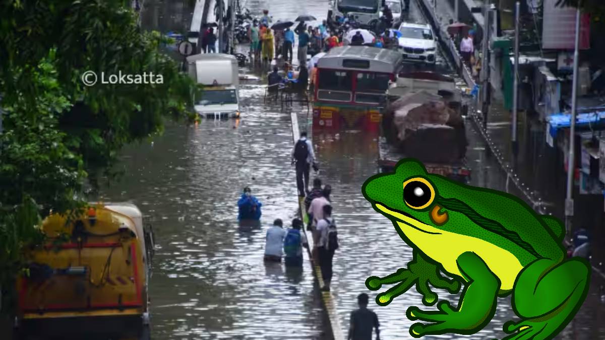 Mumbai Rains To Increase Till 3rd August These 8 days Will get Tremendous Rainfall Astrologer Predicts Accidents Todays Local Trains Update