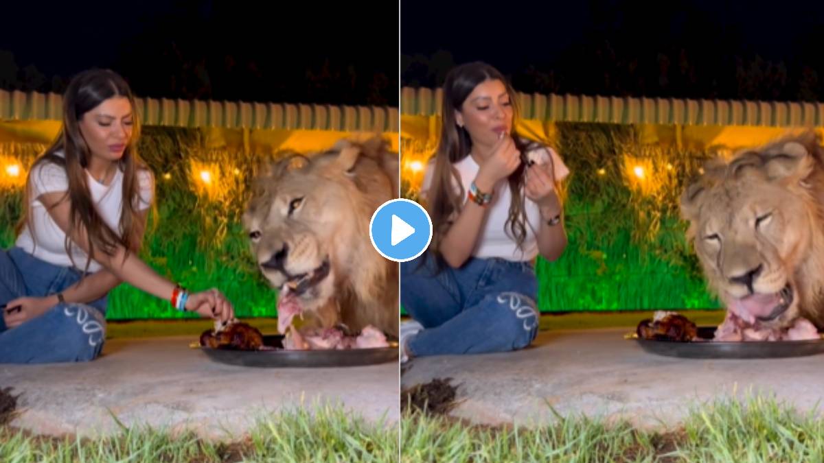 Girl was seen eating in the same plate with a lion you will be shocked to see the video viarl on social media