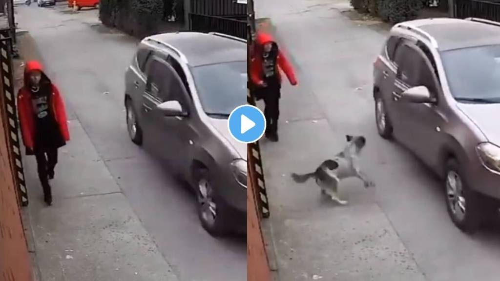 Dog saves girl from kidnappers viral video on social media dog loyal humanity