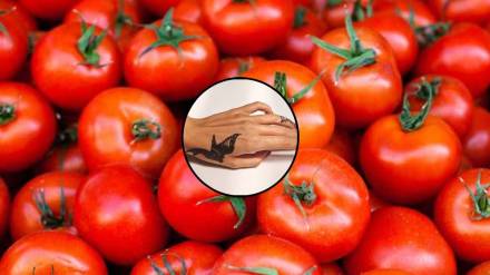Varanasi tattoo shop giving away 1 kg tomatoes for free. Here's the deal trending news trending topic