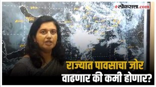 Rain Updates