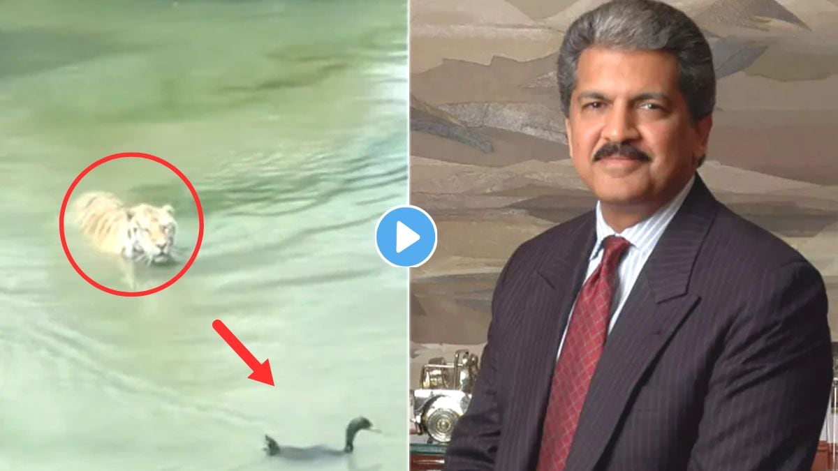 Anand Mahindra Shared Inspirational Video