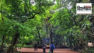 What is forest conservation act