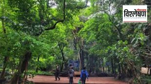 What is forest conservation act