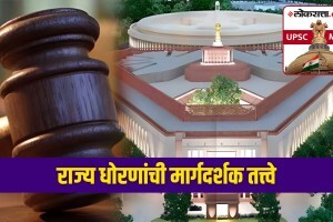 directive principles of state policy