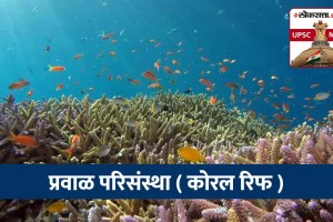 Coral Reefs In Marathi