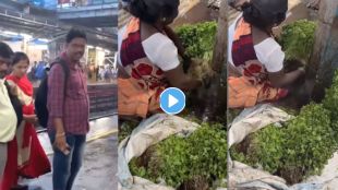 Vegetables Vendor Dadar Railway Station Viral Video