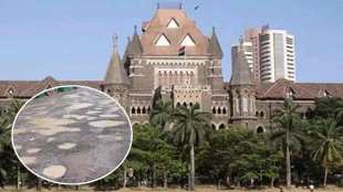 bombay high court on poor condition of internal roads in aarey colony