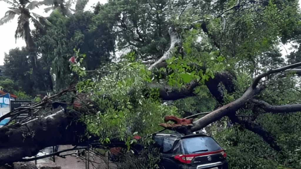 tree fell moving car nerul four people survived