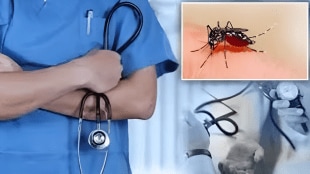thane dengue malaria H3 N2 disease patients found