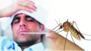 huge increase number dengue malaria patients mumbai