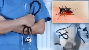 monsoon incidence epidemics dengue increase maharashtra pune